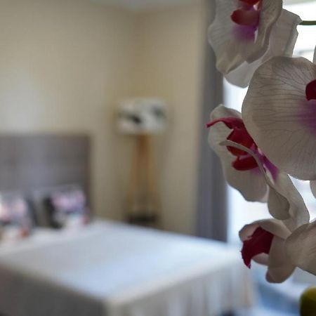 Cozy Studio With A Sea View نيس المظهر الخارجي الصورة
